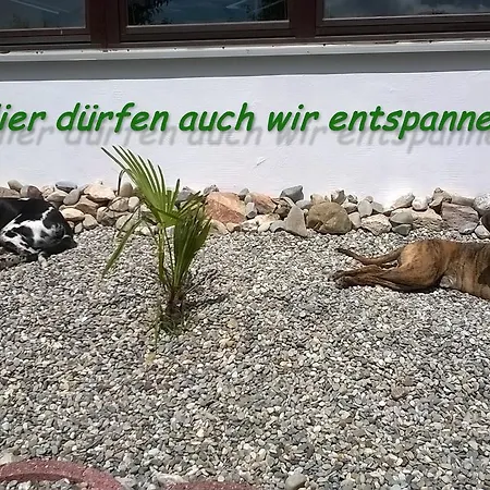 アパート Ferienwohnung Schlossblick Schillingsfurst *
